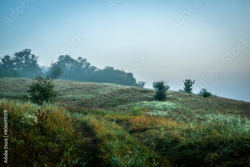 Fog in early morning at summer . Green field and forest , early sunrise without sun . Fogge blue houre . Beautiful trees on field . Summer landscapes . Hunting road in the field 