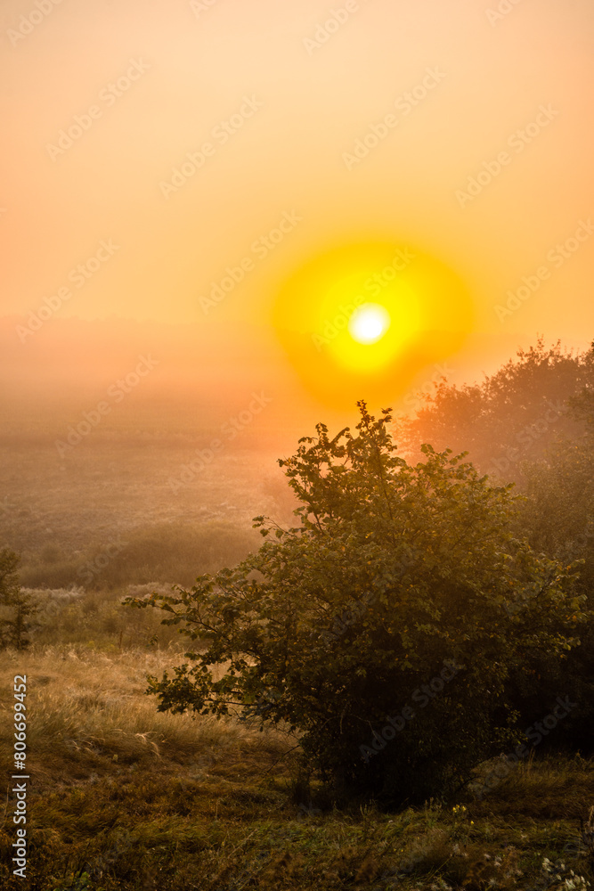 Red sunrise over the beautiful field and trees . Red clouds and sky with sun. Sun over the trees . Summer field at morning . Fog and sky . Beautiful landscape at summer with fog Red sunrise over the beautiful field and trees . Red clouds and sky with sun. Sun over the trees . Summer field at morning . Fog and sky . Beautiful landscape at summer with fog