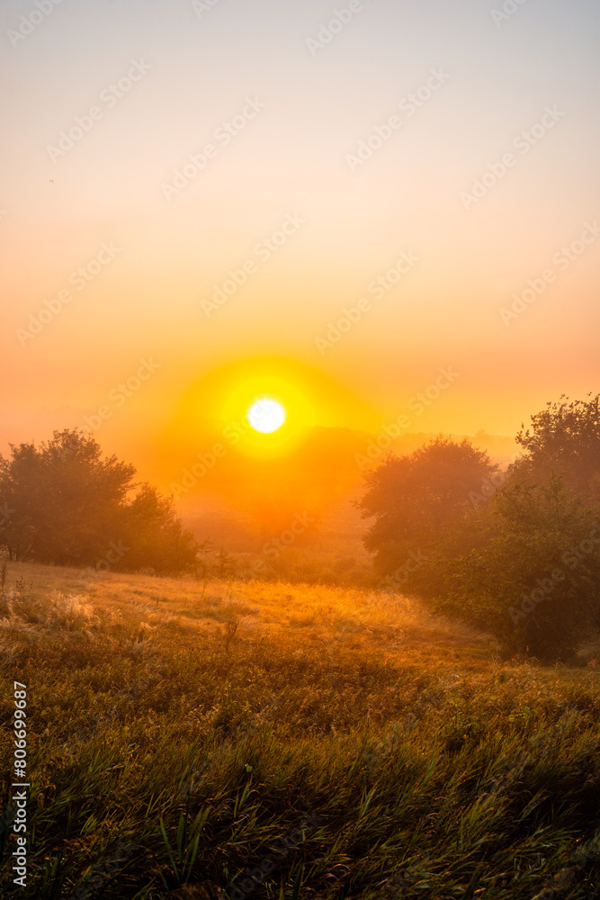 Red sunrise over the beautiful field and trees . Red clouds and sky with sun. Sun over the trees . Summer field at morning . Fog and sky . Beautiful landscape at summer with fog Red sunrise over the beautiful field and trees . Red clouds and sky with sun. Sun over the trees . Summer field at morning . Fog and sky . Beautiful landscape at summer with fog