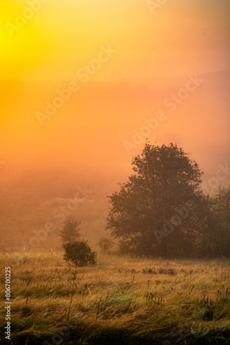 Red sunrise over the beautiful field and trees . Red clouds and sky with sun. Sun over the trees . Summer field at morning . Fog and sky . Beautiful landscape at summer with fog 