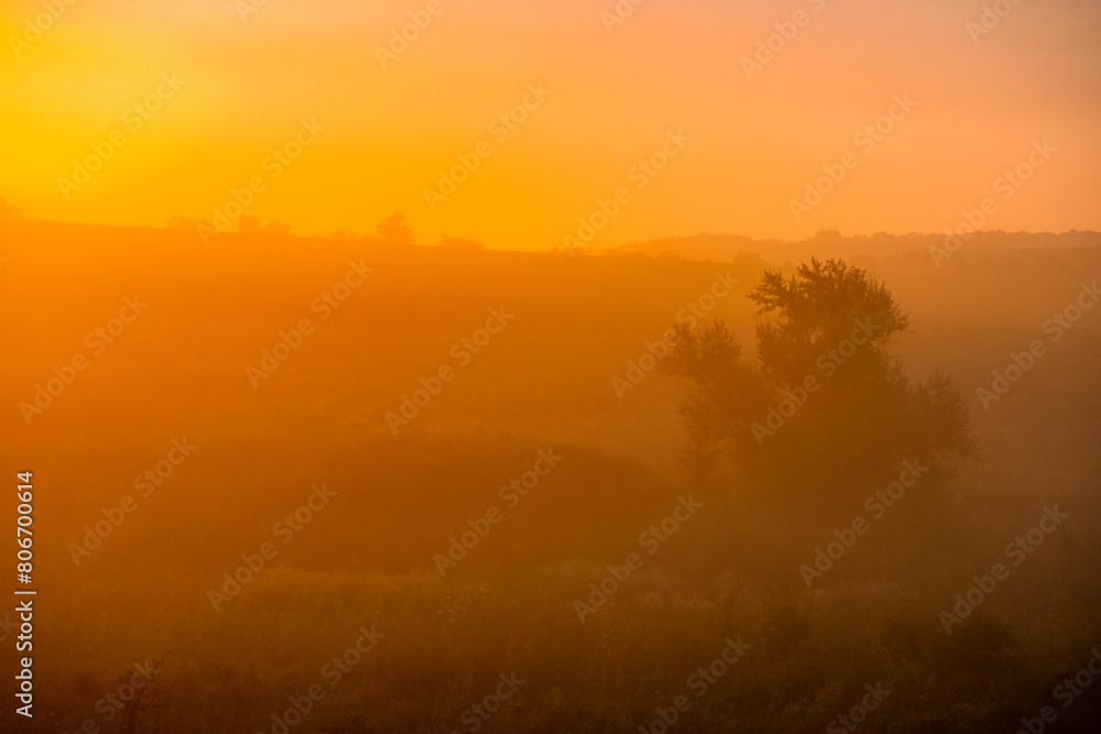 Fototapeta premium Red sunrise over the forest . Foggy morning at summer . Golden lights through the trees of forest . Green leaves and grass. Morning in forest . Golden sunrise 