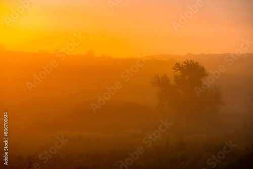 Red sunrise over the forest . Foggy morning at summer . Golden lights through the trees of forest . Green leaves and grass. Morning in forest . Golden sunrise 