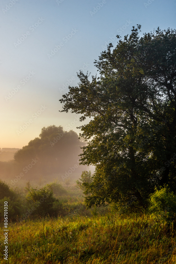 Red sunrise over the forest . Foggy morning at summer . Golden lights through the trees of forest . Green leaves and grass. Morning in forest . Golden sunrise Red sunrise over the forest . Foggy morning at summer . Golden lights through the trees of forest . Green leaves and grass. Morning in forest . Golden sunrise