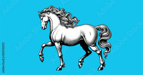 White horse walking drawing on blue BG