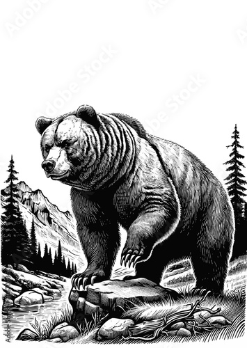 Bear walking at the river and mountain drawing vector illustration