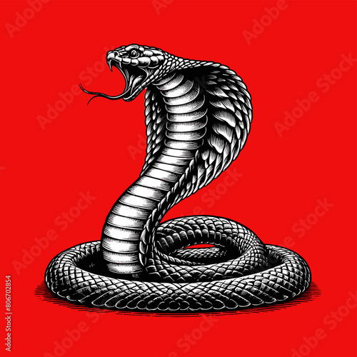 King cobra vector engraving on red BG