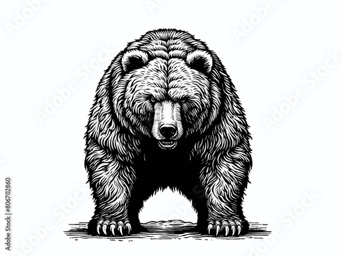 Monochrome woodcut of bear front view on white BG