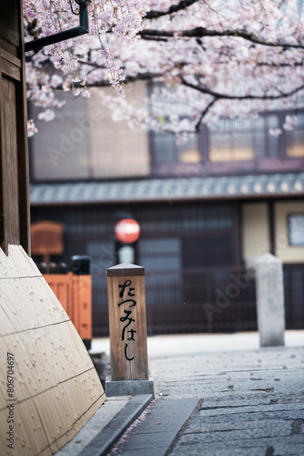 春の京都、祇園白川