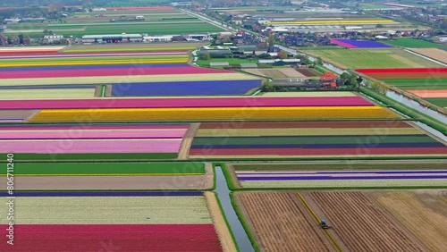 Aerial view of colorful tulip fields with Lisse town in background, Netherlands