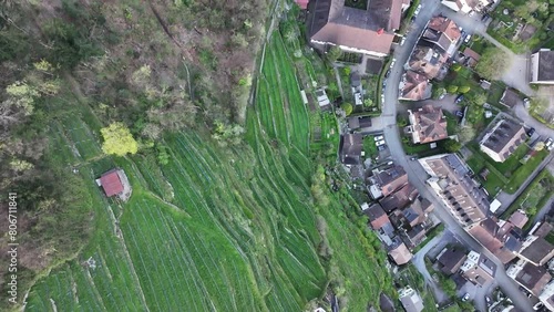 A bird's-eye view captures the cascading agricultural fields near the settlement of Wessen, situated by Lake Walensee in Switzerland, the symbiotic relationship between humans and the land. photo