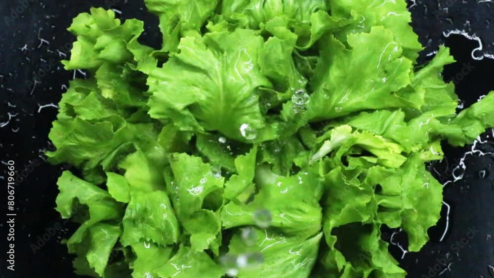 washing fresh green lettuce, video washing fresh green lettuce, video