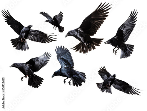 a group of black birds flying photo