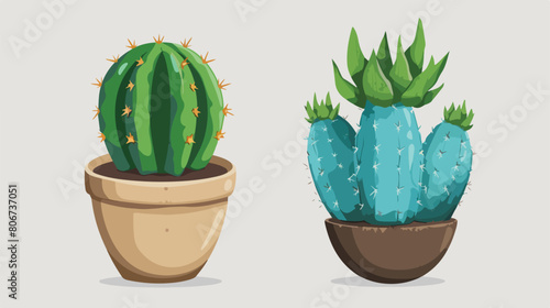 Cactus and earth icon. Plant deset and green theme. photo