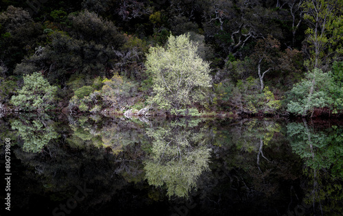 Reflets sur le barrage de la Verne  la M  le  Var   France 