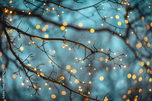 Beautiful fairy lights pattern with tree branches for background