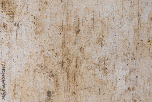 Wallpaper Mural The texture of an old wooden surface covered with white paint Torontodigital.ca