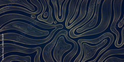 Vector line abstract wave pattern, organic texture map, topography modern graphic. Geometric art shapes, curve digital illustration. Gold on dark blue banner
