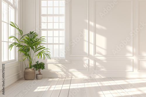 White contemporary room with ornamental plants in pots and abstract window shadows
