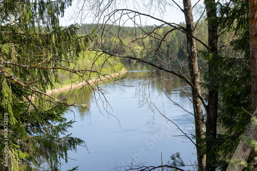 A photo of the Gauja river between the trees.