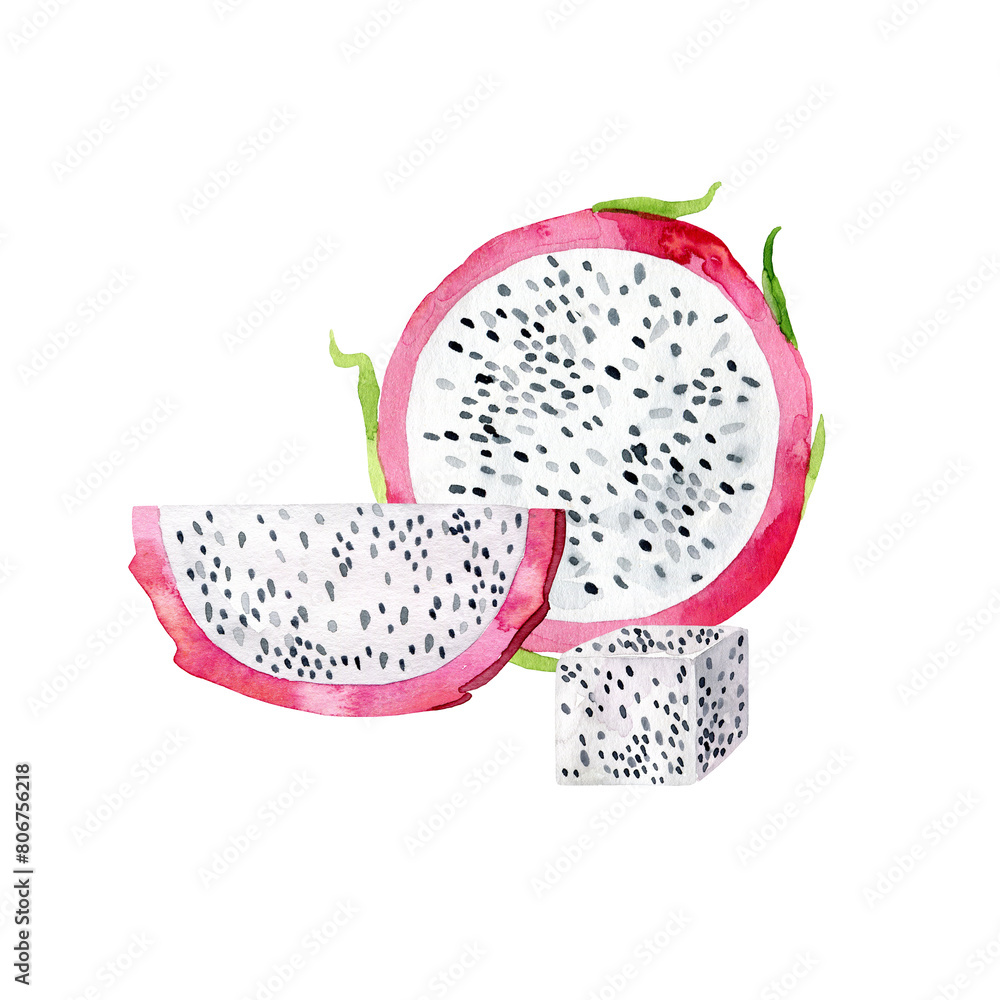 Hand Drawn Watercolor pitaya Fruit illustration. Hand Drawn Watercolor pitaya Fruit illustration.