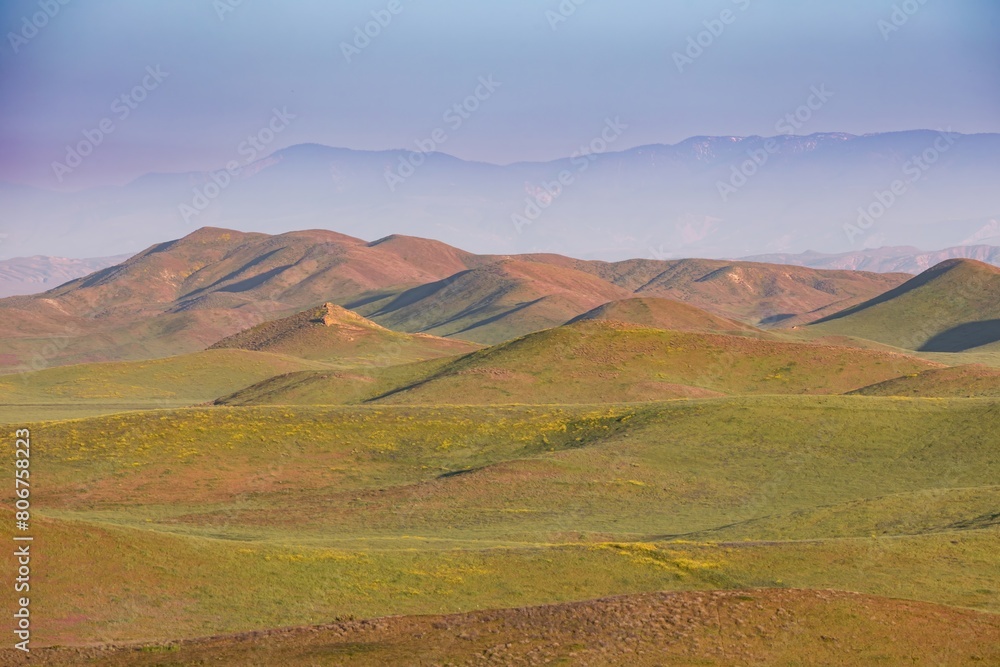 Old soft grass and flower covered hills. Carrizo National Monument, Santa Margarita, California, United States of America. Old soft grass and flower covered hills. Carrizo National Monument, Santa Margarita, California, United States of America.