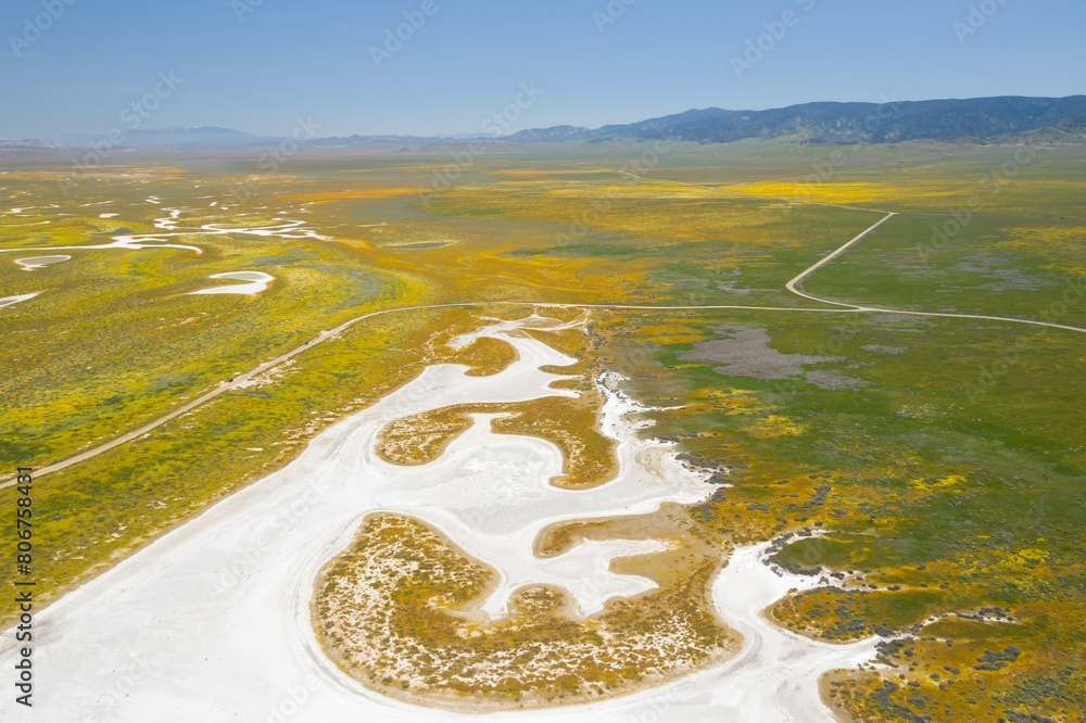 the-alkaline-soda-lake-and-flowers-in-the-superbloom-season-carrizo