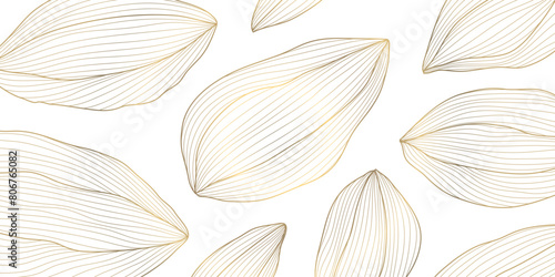 Vector set of abstract line organic shapes pattern. Leaves  buds  nuts floral design  boho ornament. Golden on white asian style plant background  linear hand drawn banner