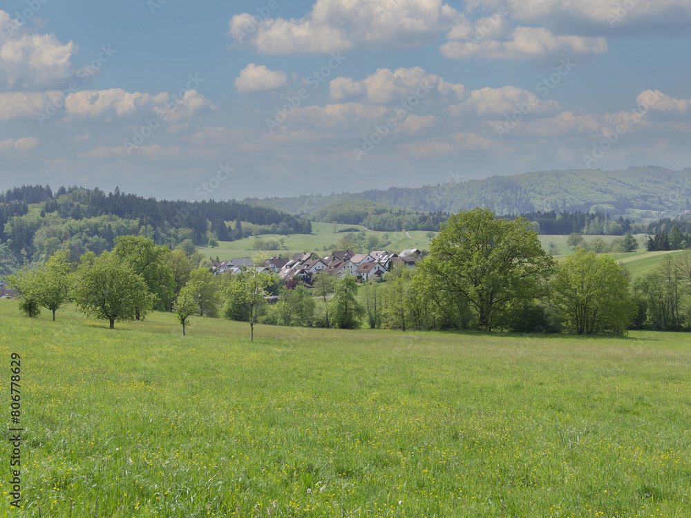 Obraz premium Weitenau (Steinen) im Südschwarzwald. Ein schöner idyllischer Wohnort im grünen Schwarzwald. Weite Wiesen und nahe liegenden Wälder