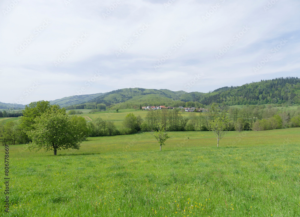 Rund um Weitenau (Steinen) im grünen Schwarzwald. Herrlicher Blick auf den Weiler Farnbuck vom Wanderweg „Am Hummleberg“
Rund um Weitenau (Steinen) im grünen Schwarzwald. Herrlicher Blick auf den Weiler Farnbuck vom Wanderweg „Am Hummleberg“