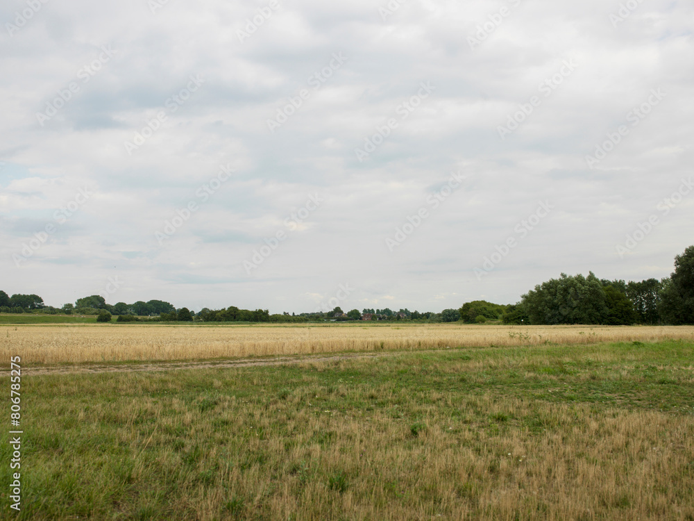 Obraz premium field and blue sky