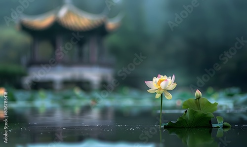 A blooming lotus in the lotus pond  with a blurred octagonal pavilion in the distance  Generative AI 