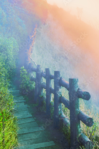 Mountain walkway covered by sea of ​​mist at Kew Mae Pan Nature Trail within Doi Inthanon National Park photo