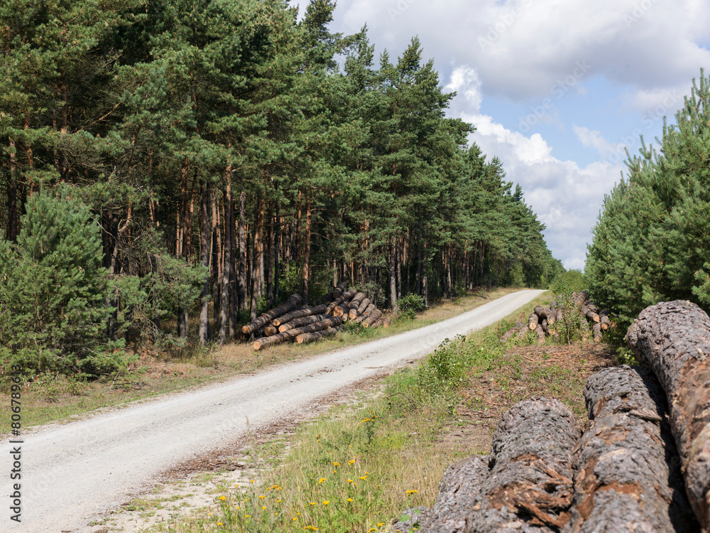 Fototapeta premium Dirt road