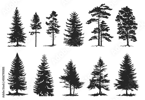 Vintage isolated trees and forest black silhouettes.Vector graphic
