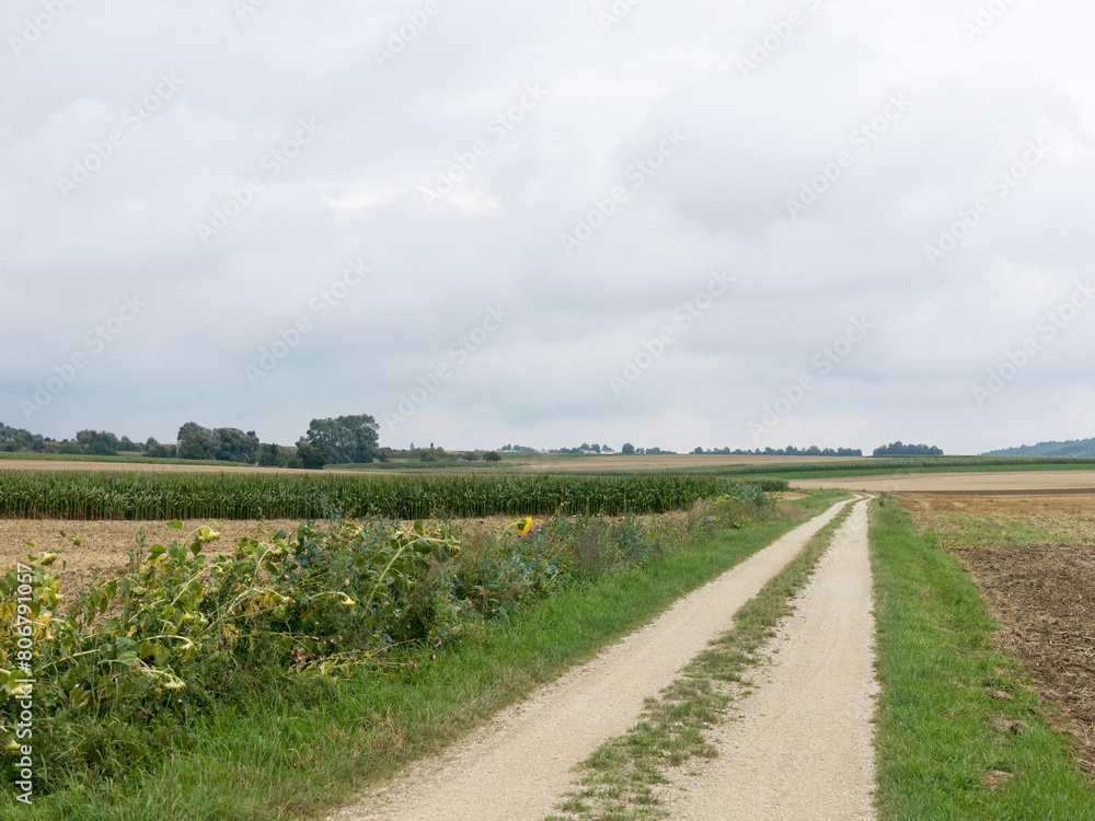 Obraz premium Dirt road