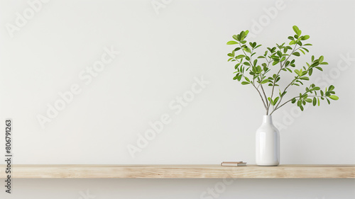 Green tree branch in a white vase on a shelf on a white background with copy space © kanurism