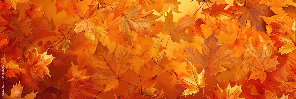 Orange Fall Background. Autumn Park with Leaves in Natural Setting Orange Fall Background. Autumn Park with Leaves in Natural Setting