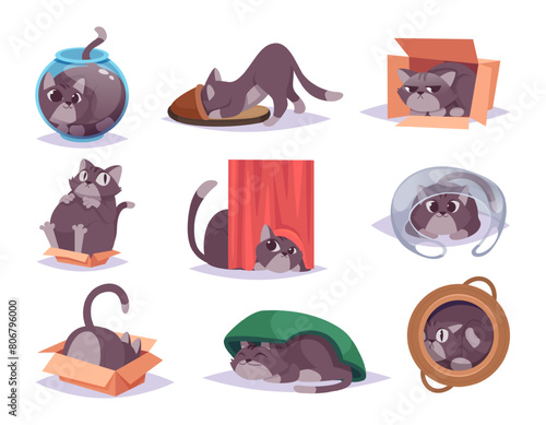 Hiding pets. Domestic kitten hidden in interior space indoor cats in funny poses exact vector illustrations in cartoon style