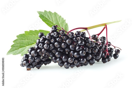 A close-up image of a bunch of black elderberries on a white background. The berries are ripe and juicy, and the leaves are a deep green color.