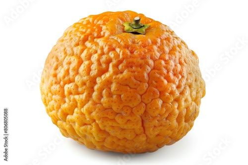 a lumpy misshapen orange on a white background. The orange is very ugly, but it is still a real orange.