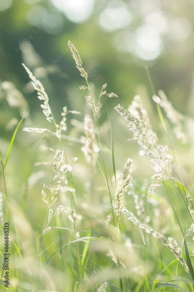 Blades of grass in a meadow softly swaying in the breeze, realistic focus on the textures and play of light Blades of grass in a meadow softly swaying in the breeze, realistic focus on the textures and play of light