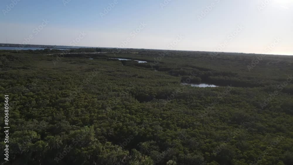 The many small lakes in Terra Ceia preserve state park Palmetto, Florida The many small lakes in Terra Ceia preserve state park Palmetto, Florida