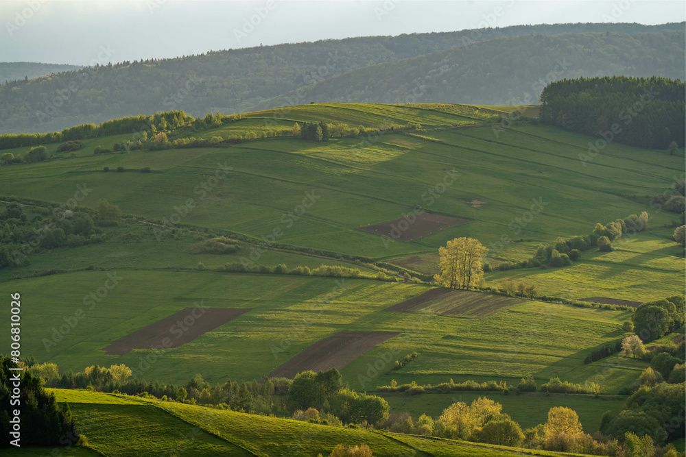 Agricultural Landscape on a Hil