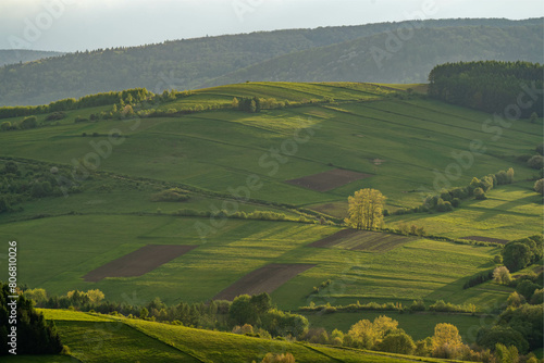 Agricultural Landscape on a Hil