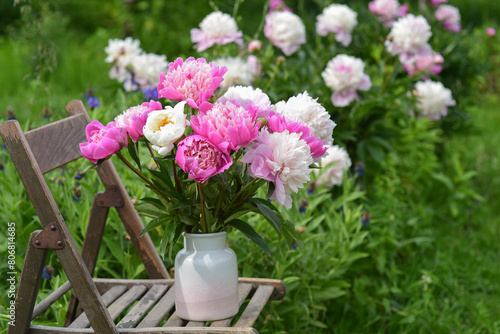 A bouquet of pink peonies stands in a vase in the country garden against the backdrop of a blooming peony bush.