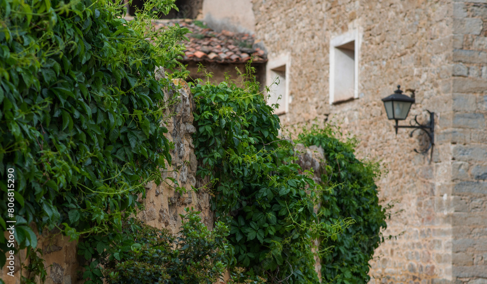 Vintage old stone walls on narrow cozy street of a medieval village in Provence, France. View of traditional old stone houses covered in green vines.