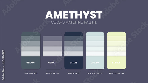 Color palette guide in Amethyst colour theme collections. Color inspiration or chart with codes template. Color combination RGB. Colors swatches for graphic design, art, fashion or painting. Vector.