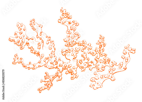 An openwork silhouette of a lush orange coral with many small curly elements. Drawing of an exotic bush. Floral pattern in sand tones for nautical design. Isolated illustration with underwater fauna. photo