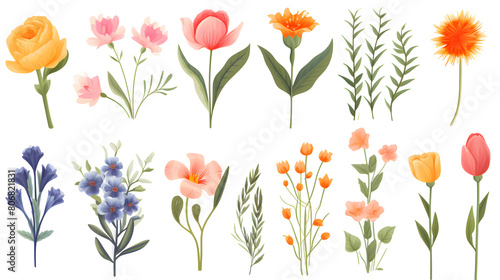 Digital watercolor flowers clip art set print pattern flower abstract graphic poster background