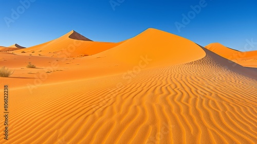   A collection of sand dunes in the heart of the desert  surrounded by a blue sky  and adorned with a few bushes in the foreground